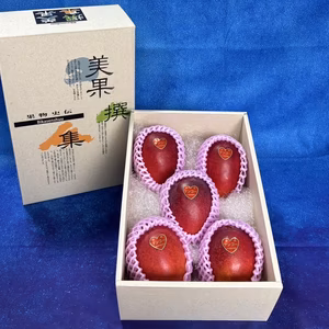 鹿児島県指宿産 完熟 マンゴー 5玉入り1600g（約320g/1玉）化粧箱入