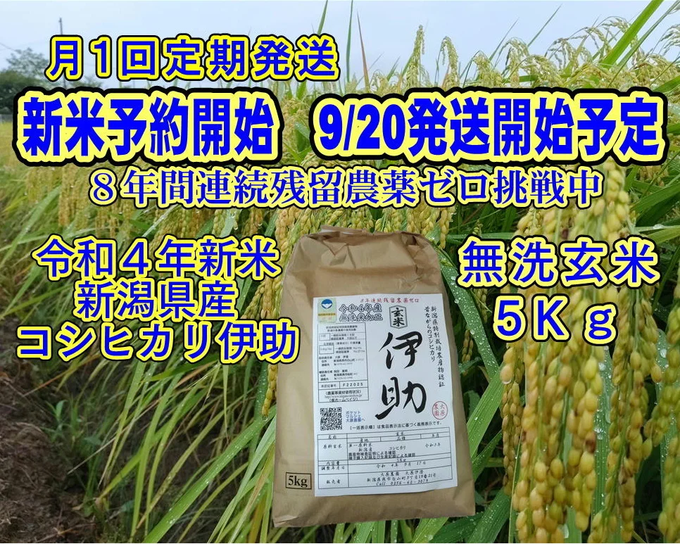 「10月～定期便」４年産新潟コシ伊助８年連続残留農薬ゼロ　無洗玄米５Ｋｇ  