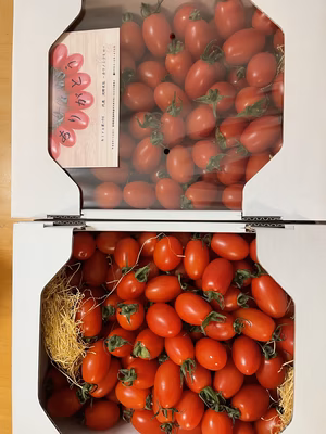 みんなの投稿の画像