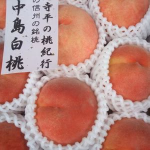 川中島白桃　夏ギフト贈答桃　ご好評販売中　信州ならではの晩夏の銘桃　　