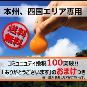 ドドンっと送料0円＆おまけ付き‼　濃厚自慢の名古屋コーチン卵36個入‼
