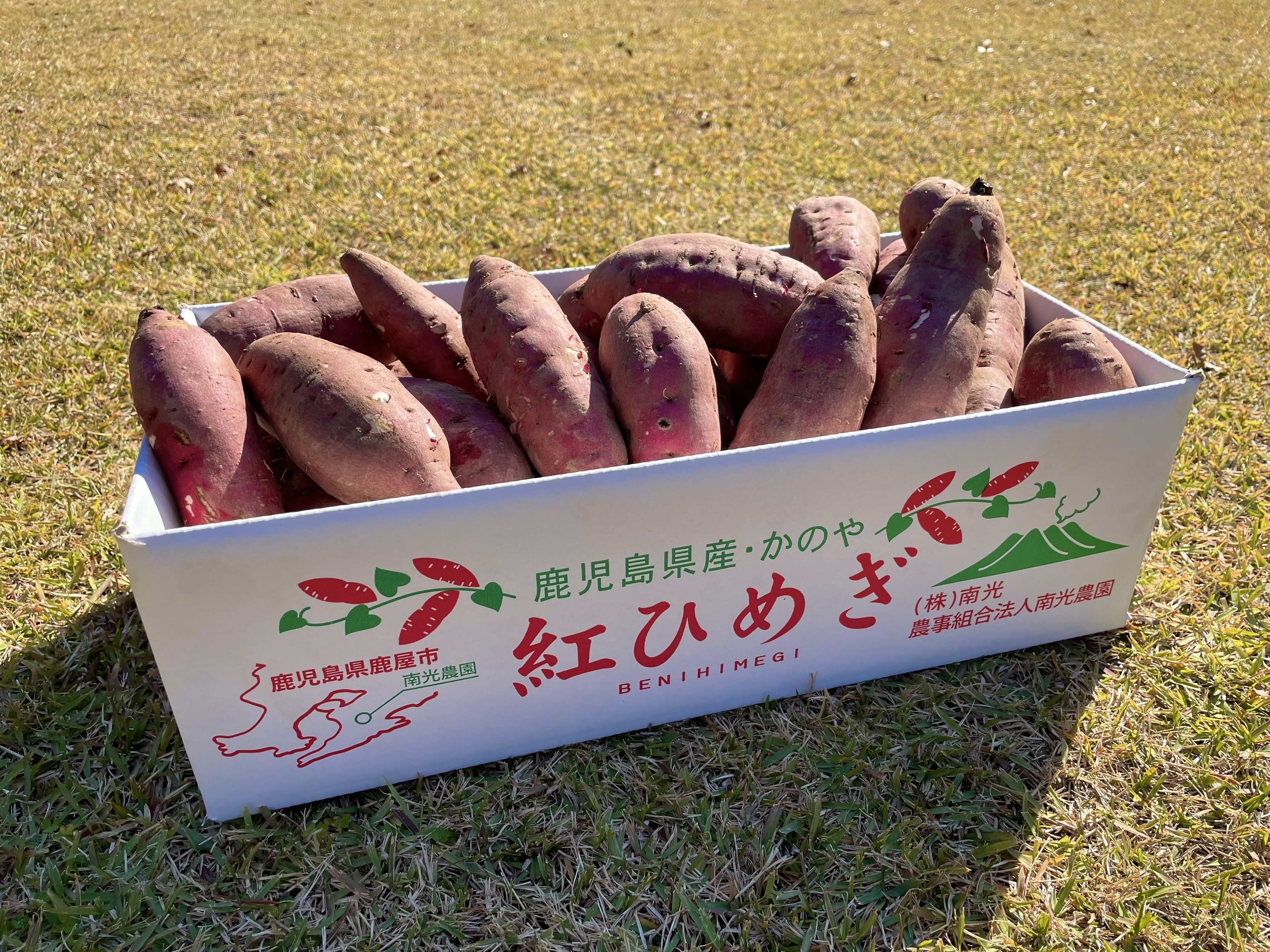 鹿児島県産 紅はるか さつまいも 約5kg 食べごろです｜野菜の商品詳細