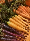 【無農薬】旬の野菜Sセット（1〜2人分）六月農園