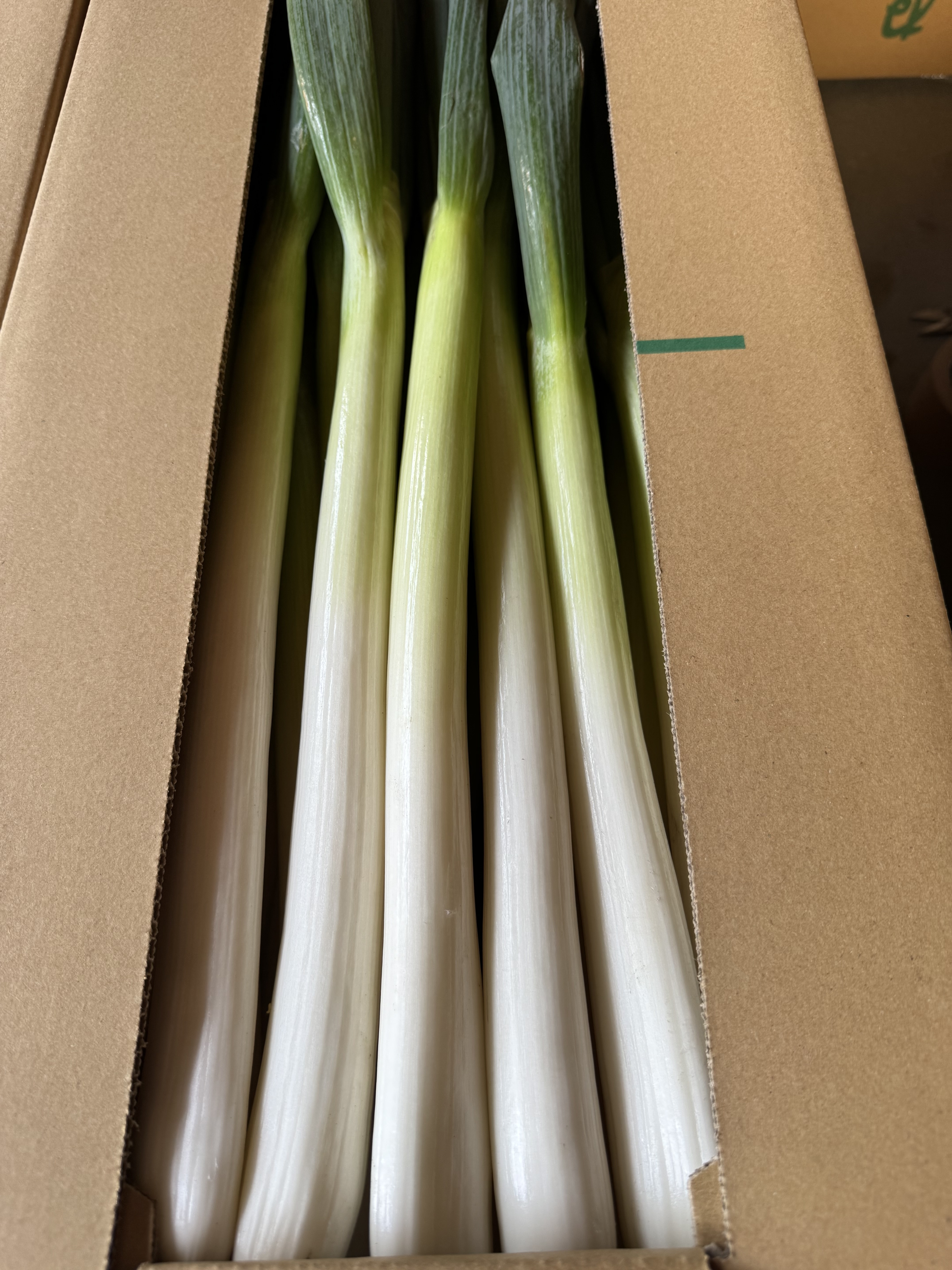 シャキシャキ甘い 長ネギ L 30本｜ねぎの商品詳細｜ポケットマルシェ