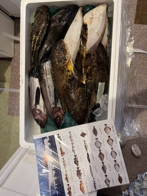 みんなの投稿の画像