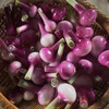 季節の西洋野菜 おまかせ5点詰め合わせ