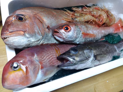 みんなの投稿の画像