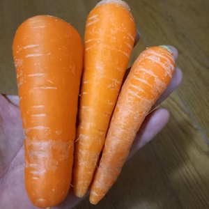 とても甘い八ヶ岳高原の間引きにんじん　小さめ（農薬・化学肥料不使用）