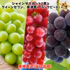 シャインマスカット２房！さらにクイーンセブン、ブラックビートの4房セット！