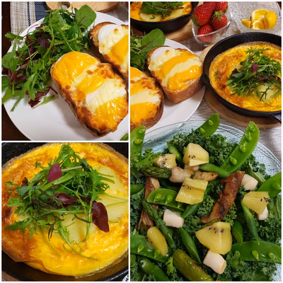 みんなの投稿の画像