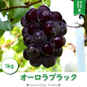 A-1 花笑み農園　岡山の『オーロラブラック』約1kg（2房）9月上旬～