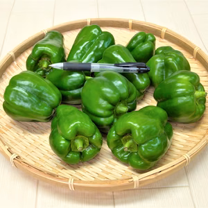 【夏のおススメ野菜】ピーマン　農薬不使用（無農薬）栽培