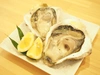 宮崎産天然岩牡蠣（生食用）2㎏セット　大サイズ　期間限定4月から9月末