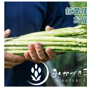 【抗菌仕様でお届け】「マイノリティーアスパラ」
