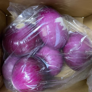 数量限定訳ありレッドオニオン2kg