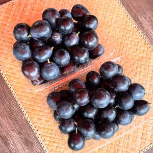 【加工用バラ粒】ナガノパープル3kg