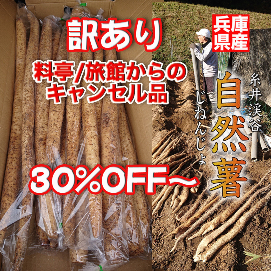 バックナンバー]カニー!お餅ー!!年末がくるぞー!!!>📢今週のおすすめ