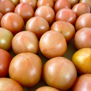 【産地直送】大玉なのに小玉になっちゃった　3㎏箱　