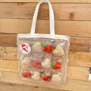 紅白いちご★12粒★可愛いカバン仕様パック