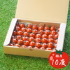 プレミアム希トマト糖度10度【1kg】