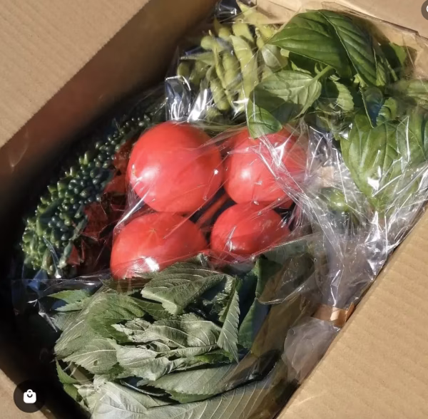 淡路島の新玉ねぎ入り 旬のお野菜box【農薬/化学肥料不使用】