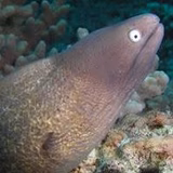 ちゃらぽらって けーろ