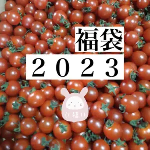 【福袋2023 】完熟ミニトマト　アルル♪ 1kg〜販売　おまけ付き