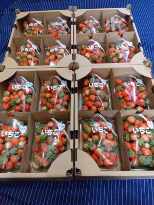 みんなの投稿の画像