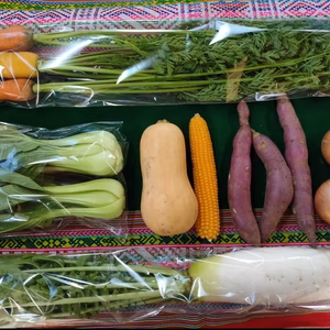 こども野菜セット7品目★幼児食、離乳食にも