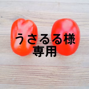 うさるる様専用