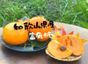 ◎送料無料◎ サクッと甘さ溢れる 和歌山県産 柿の王様 富有柿 訳あり ご家庭用