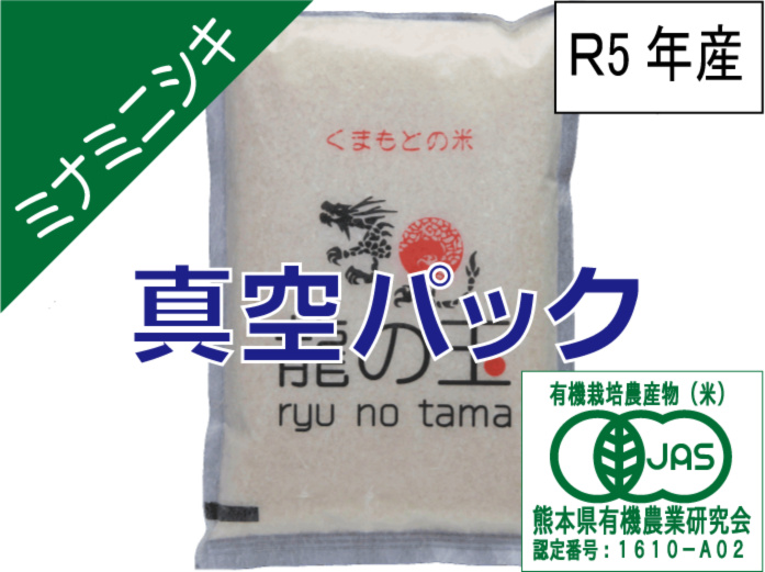 自然栽培 緑米（もち米） 玄米1.5kg R5年 熊本県菊池産 - 米