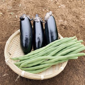【期間限定セット！】お買い得品 ナスとインゲンのセット (2キロ)