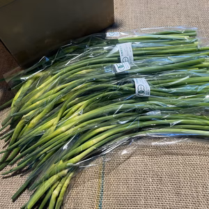 【有機JAS】にんにくの芽1kg・２kg