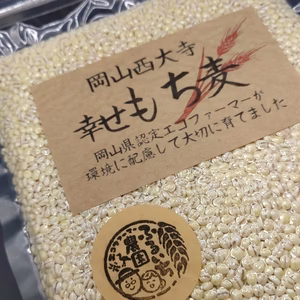 ★令和4年産★岡山西大寺幸せもち麦（キラリモチ）