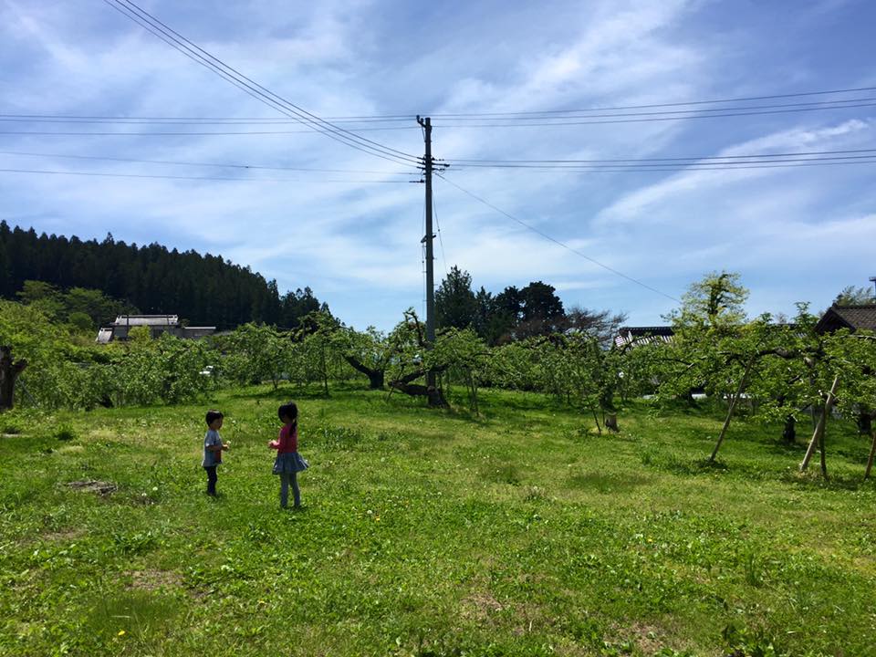 13331048_1361973320496639_4925833954467363055_n