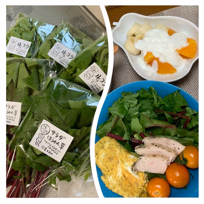 みんなの投稿の画像