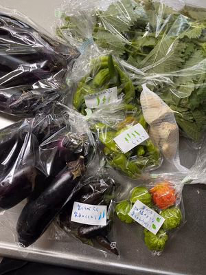 みんなの投稿の画像