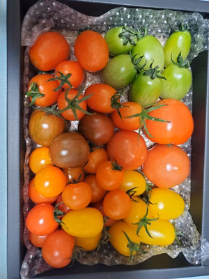 みんなの投稿の画像