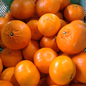 ハウス栽培☆麗紅☆れいこう☆汚れあり4kg