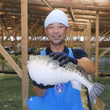 太田雄三