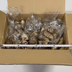 80サイズ　常温発送　里芋　3kg入り　子芋　土垂(ドタレ)