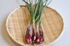 和らぎ農法　ハイブリッド赤らっきょう（玉ねぎ×らっきょう）（1袋）