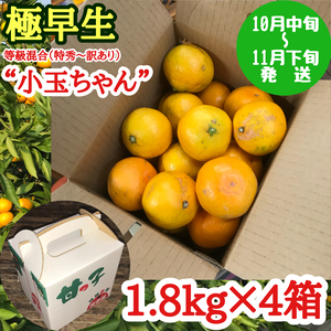 果物の極早生みかんの商品一覧(2ページ目)|ポケットマルシェ|産直 ...