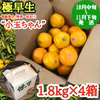 【極早生・有田みかん】“小玉ちゃん”／等級混合・約1.8kg×4箱【南泰園】