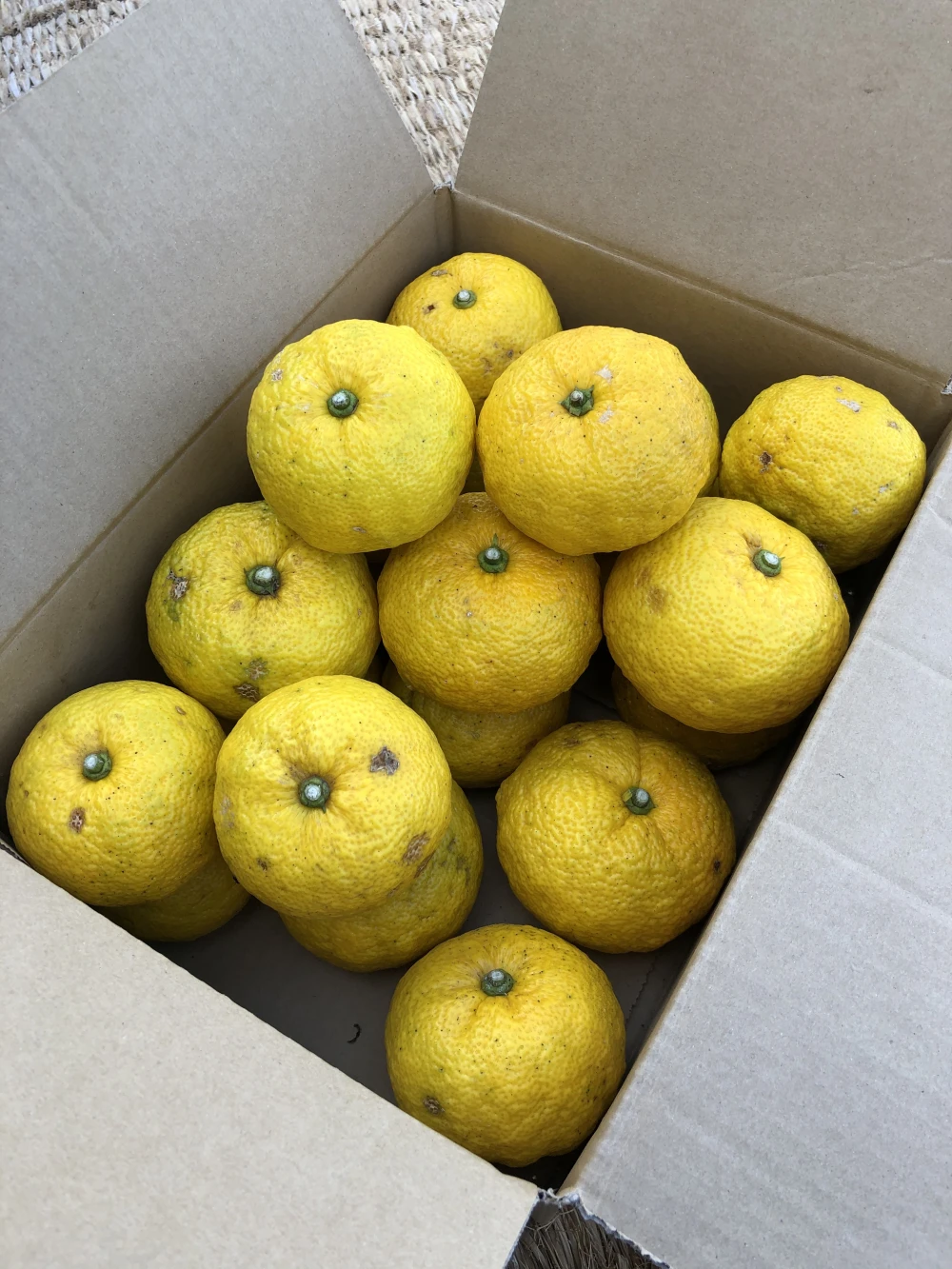 無農薬柚子（2～2.5ｋg）（3kg）