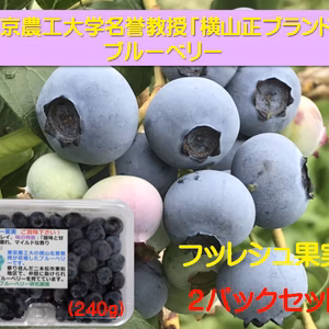 東京農工大学名誉教授「横山正ブランド」ブルーベリー：北方系新鮮果実詰め合わせ
