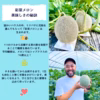 【一度食べたらメロンの虜♡】彩菜メロン（食べ比べ）