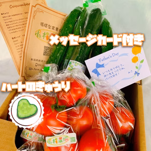 【父の日ギフト】フリーメッセージカード付き！ハートきゅうりとトマトのセット