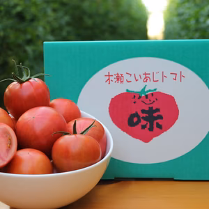 【今が旬】味が濃い！高糖度フルーツトマト"木瀬恋味トマト"